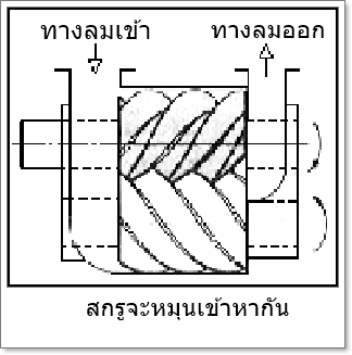 เครื่องอัดลมแบบสกรู-Screw-compressor5